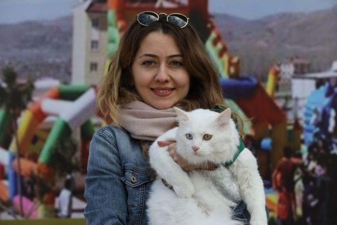 Van Kedileri Podyuma &Ccedil;ıktı