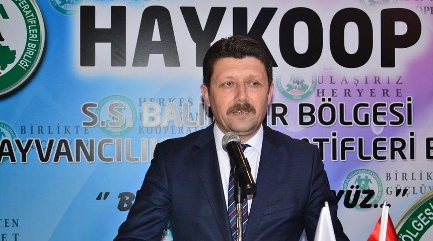 Haykoop&rsquo;ta Mali Genel Kurul Ger&ccedil;ekleştirildi
