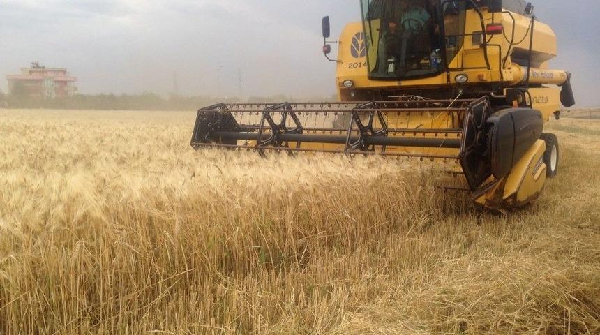 Kahta İl&ccedil;esinde Hububat Hasadı Başladı