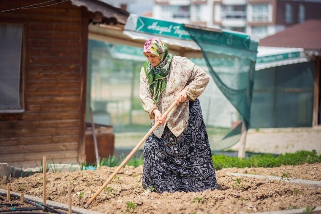 Hobi Bah&ccedil;esi Sakinleri &Uuml;retmenin Hazzını Yaşıyor
