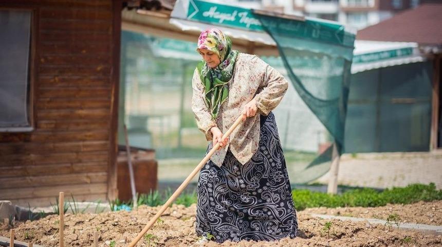 Hobi Bah&ccedil;elerinde &Uuml;retmenin Keyfini Yaşıyorlar