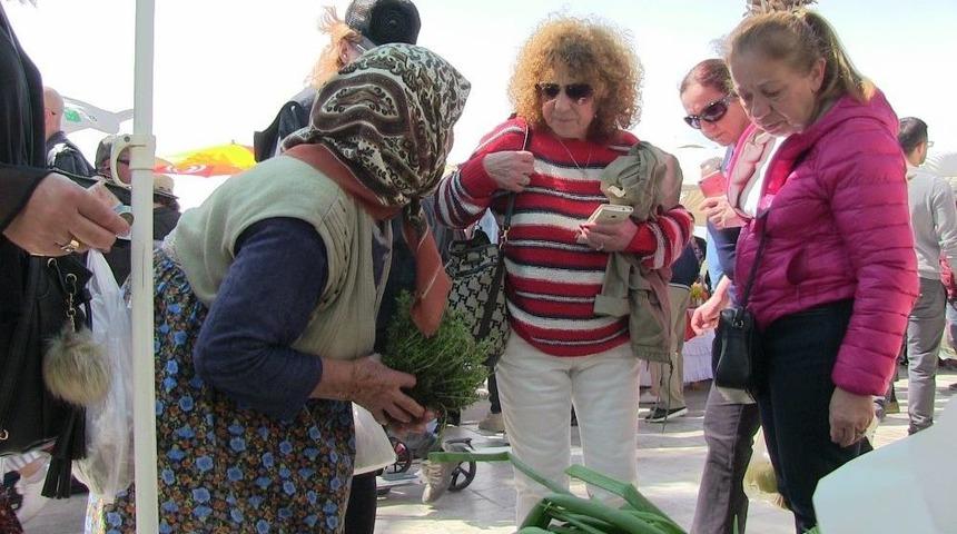 Halikarns Ot Festivali Yapıldı