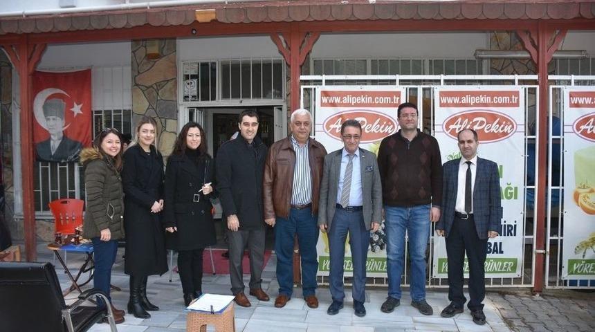 Edremit&rsquo;te Zeytin K&uuml;melenmesi Projesi