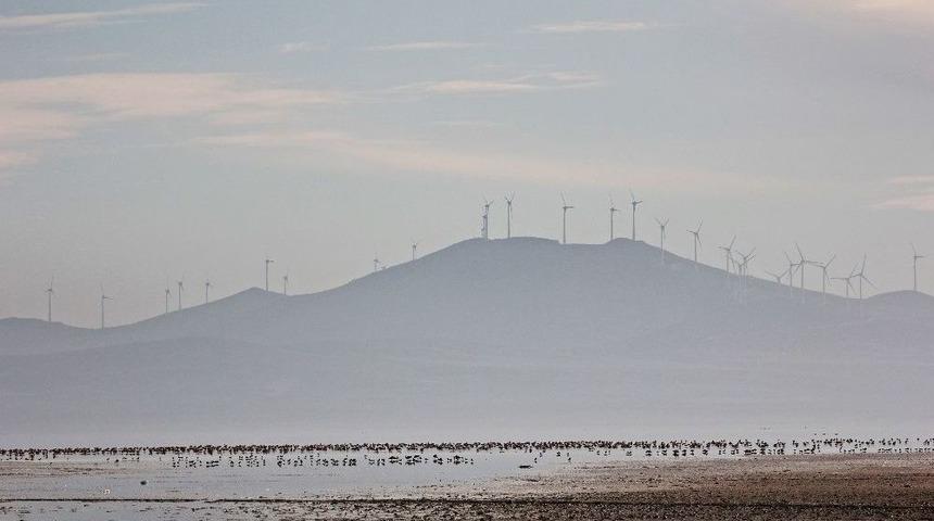 3 G&uuml;nl&uuml;k Yağış 3 Bin Kuşu Seyfe&rsquo;ye Getirdi