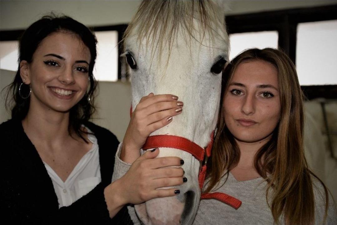 (&ouml;zel Haber) &Uuml;niversiteli Kızlar, Ojeli Ellerle Atlara Nal &Ccedil;akıyor