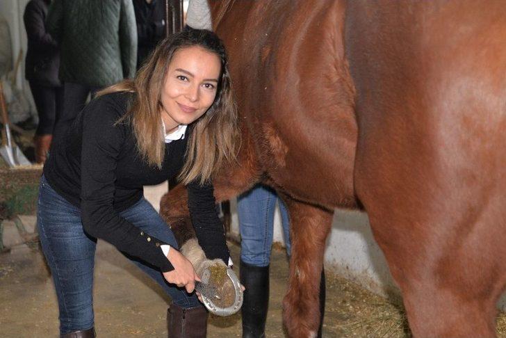 (özel Haber) Üniversiteli Kızlar, Ojeli Ellerle Atlara Nal Çakıyor G1