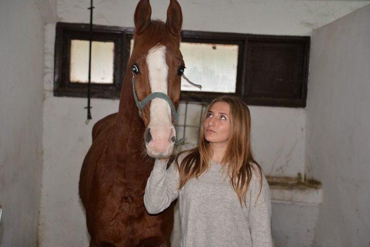 (özel Haber) Üniversiteli Kızlar, Ojeli Ellerle Atlara Nal Çakıyor G2