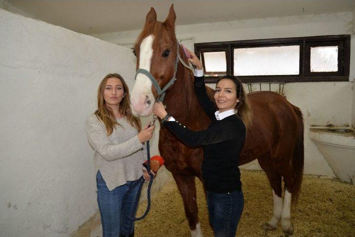 (özel Haber) Üniversiteli Kızlar, Ojeli Ellerle Atlara Nal Çakıyor G3