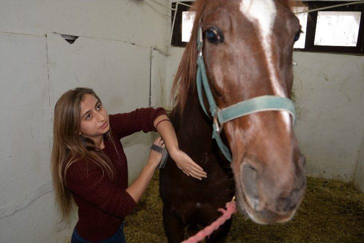 (özel Haber) Üniversiteli Kızlar, Ojeli Ellerle Atlara Nal Çakıyor G4