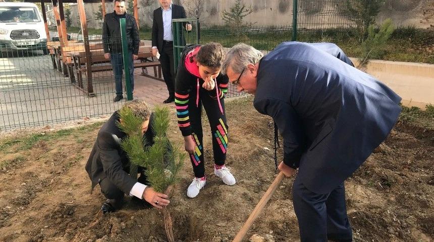 Başkan &Ccedil;etin, Sirkeli&rsquo;de Ağa&ccedil; Dikti