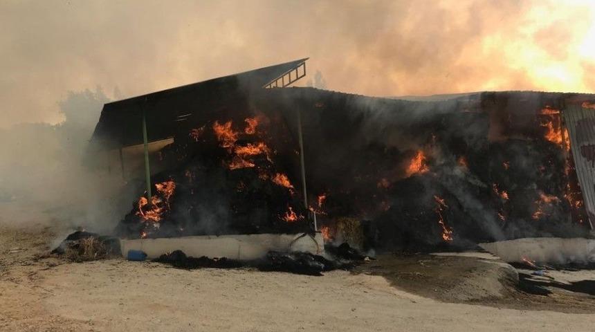 15 Bin Paket Saman Yangında K&uuml;l Oldu