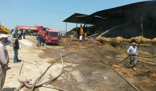 15 Bin Paket Saman Yangında Kül Oldu