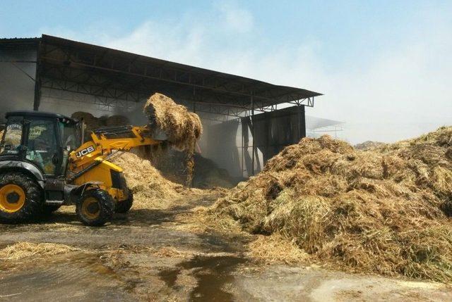 15 Bin Paket Saman Yangında Kül Oldu