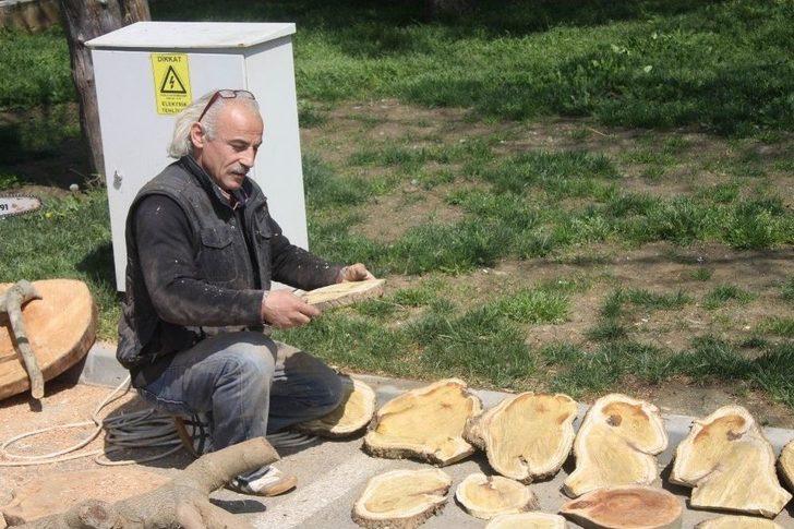 (özel) Ekmeğini Kütükten Çıkarıyor G2