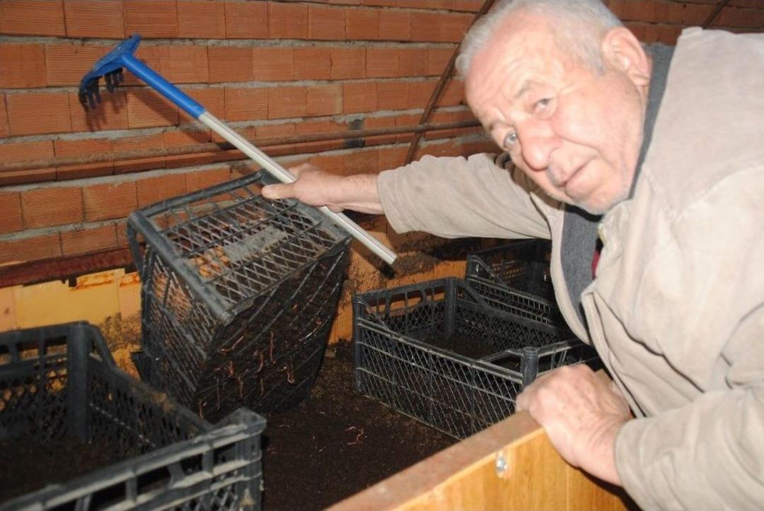 Aydın&rsquo;da Solucan &Ccedil;iftliği