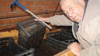 Aydın’da Solucan Çiftliği