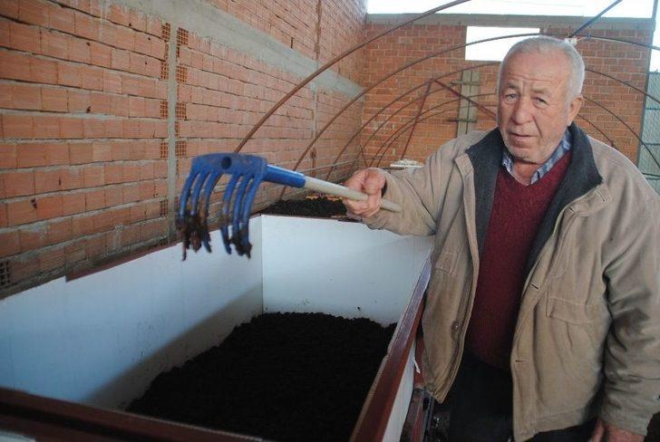 Aydın’da Solucan Çiftliği G2