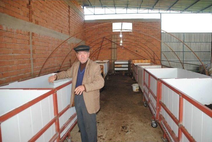 Aydın’da Solucan Çiftliği G5