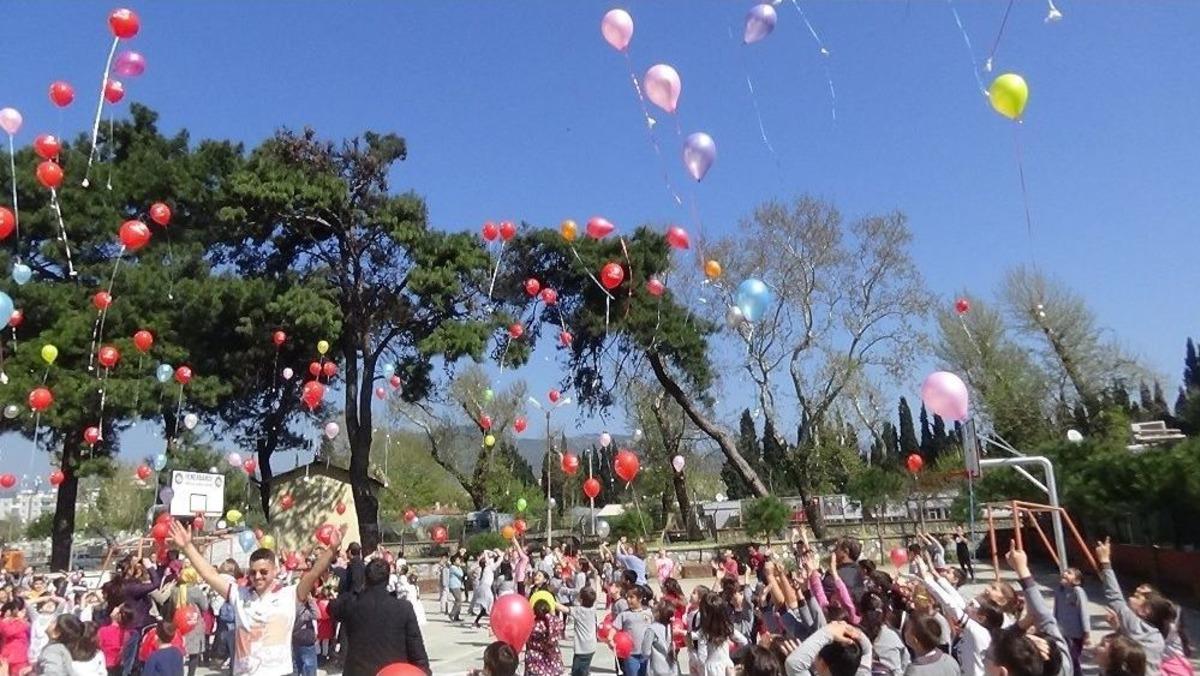 G&ouml;ky&uuml;z&uuml;ne Tohum Diktiler
