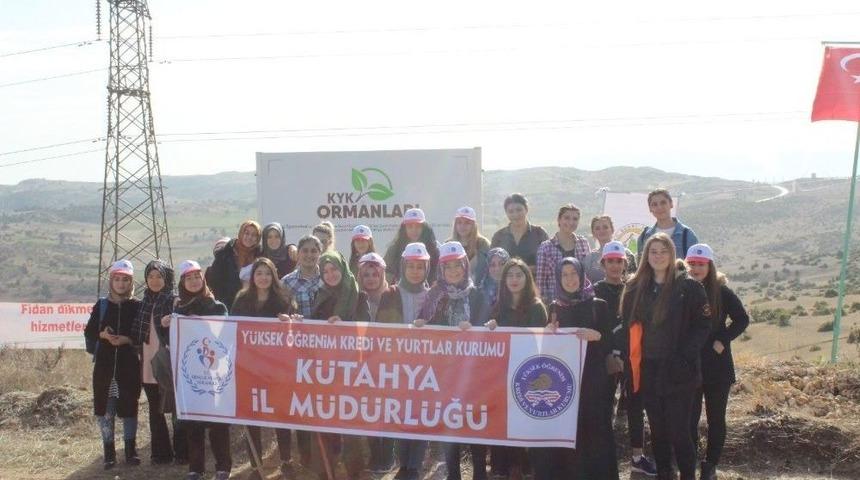 Kyk’lı Öğrenciler Fidan Dikti