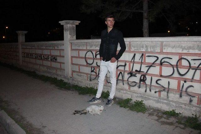 Vicdansız S&uuml;r&uuml;c&uuml; Kediye &Ccedil;arpıp Ka&ccedil;tı 2