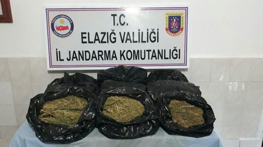 Elazığ’da 12 Kilo Esrar Ele Geçirildi