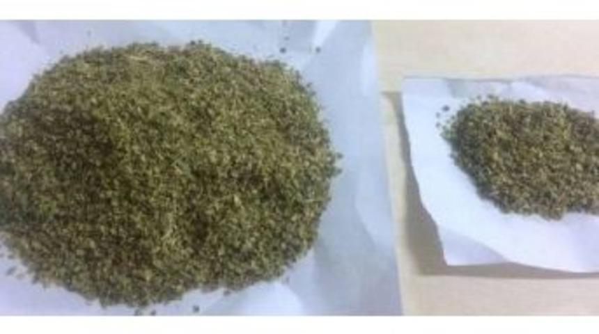 2 Şahsın &Uuml;zerinde Bonzai Ve Esrar Yakalandı