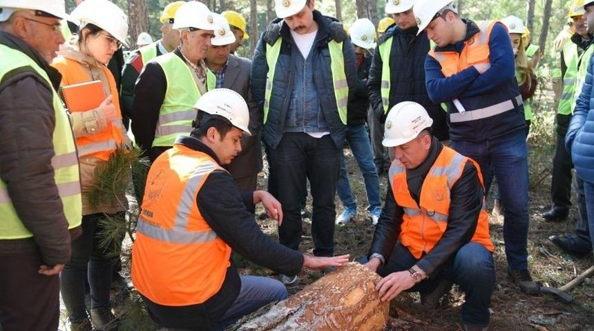 Eskişehir Orman B&ouml;lge M&uuml;d&uuml;rl&uuml;ğ&uuml; Eğitimlerini Tamamladı