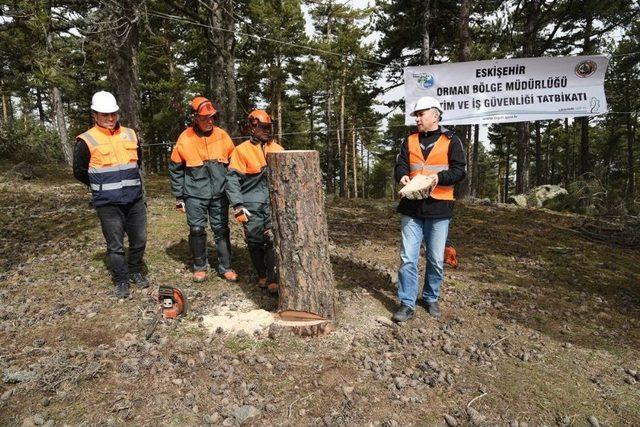 Eskişehir Orman Bölge Müdürlüğü Eğitimlerini Tamamladı