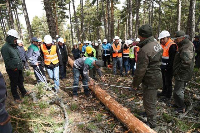 Eskişehir Orman Bölge Müdürlüğü Eğitimlerini Tamamladı