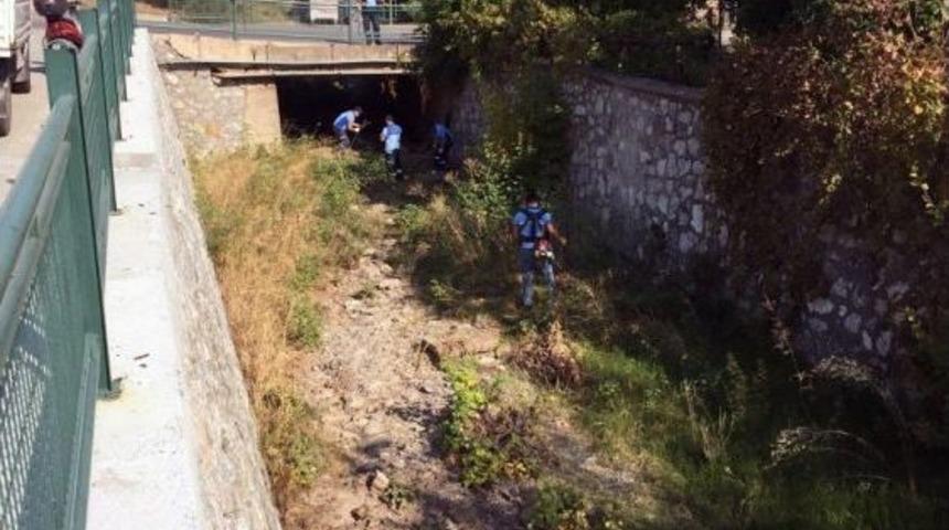 Marmaris’te 7 Kilometre Dere Temizlendi