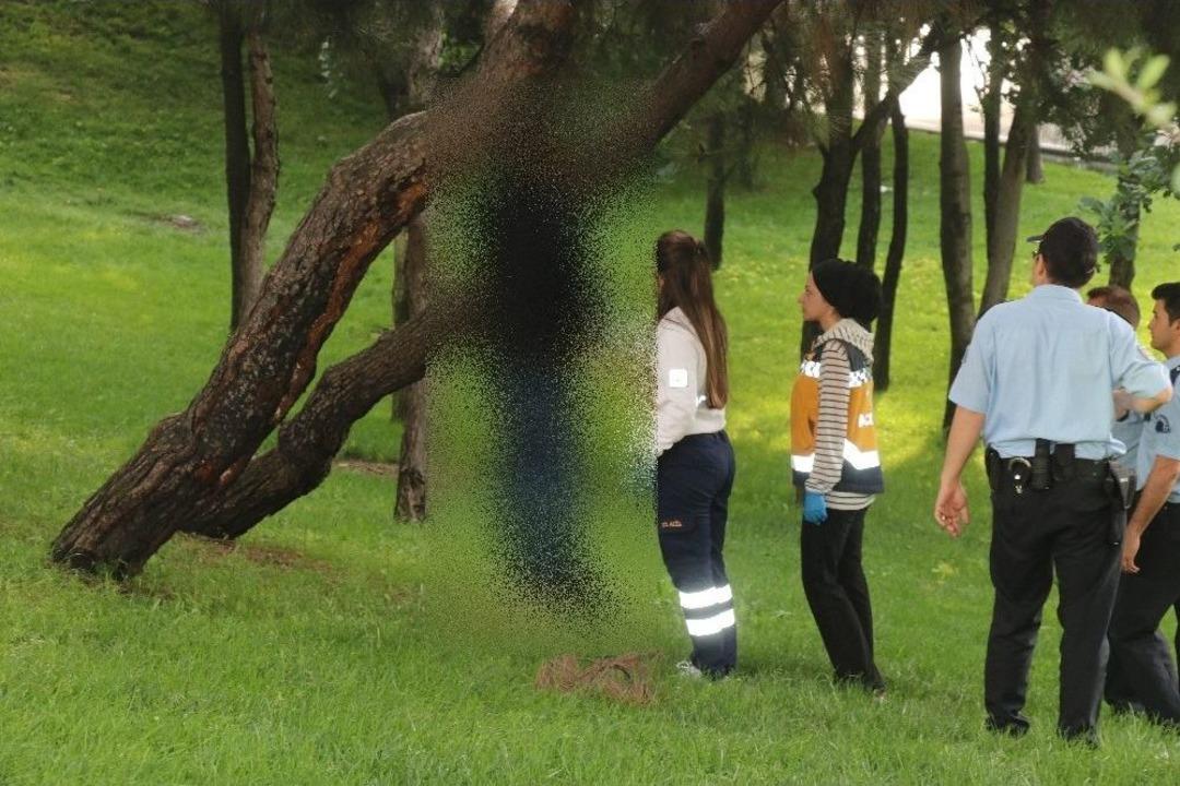Şişli&rsquo;de Ağaca Asılı Ceset Bulundu