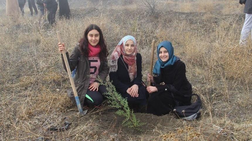 Kyk Ormanı Artık Daha Yeşil