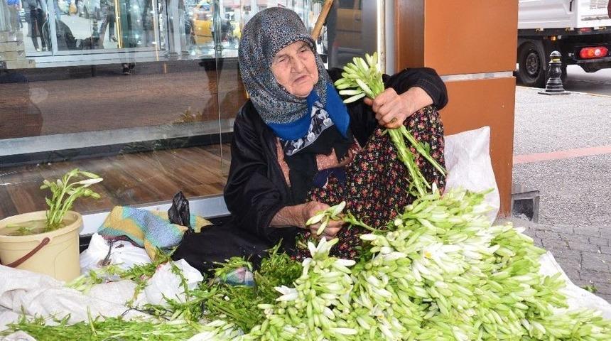 Zambak Satarak Kazandığı Parayla Hayır İşi Yapıyor