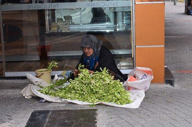 Zambak Satarak Kazandığı Parayla Hayır İşi Yapıyor