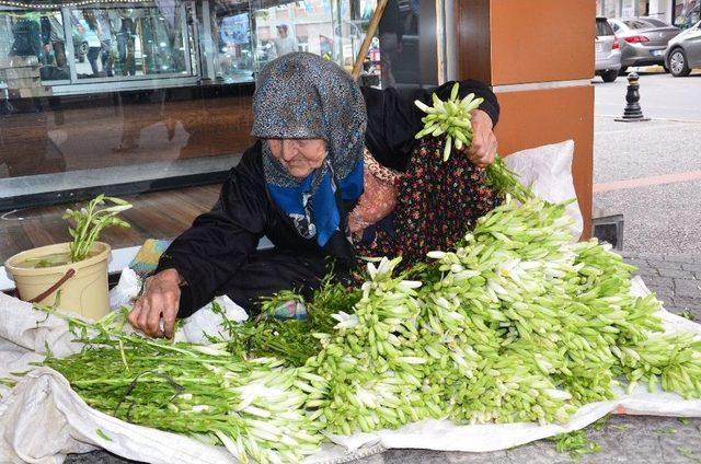 Zambak Satarak Kazandığı Parayla Hayır İşi Yapıyor