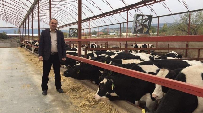 Isparta&rsquo;da Buzağı &Ouml;l&uuml;mleri