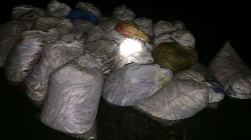 Van Gölü’nde Kaçak İnci Kefali Operasyonu