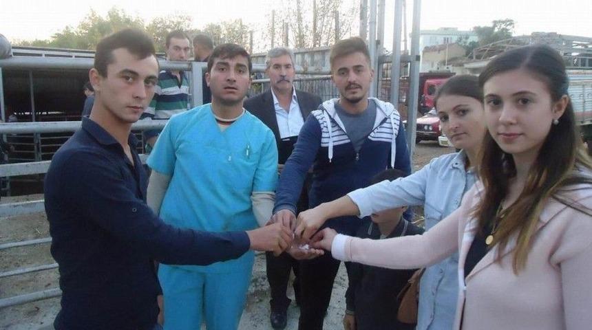 Kırklareli’de 28 Genç Çiftçi Küçükbaş Hayvanlarına Kavuştu