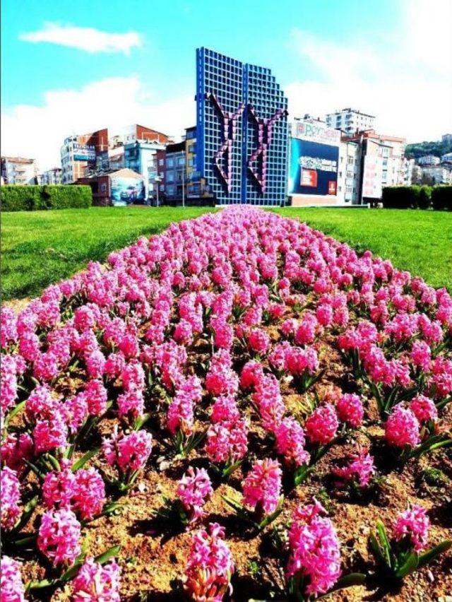 Trabzon Çiçek Bahçesine Döndü