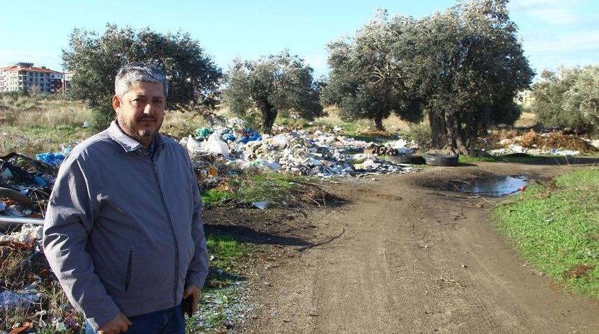 Zeytinlikler Çöplüğe Döndü
