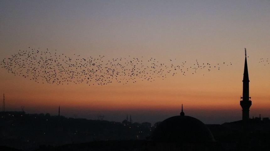 Yozgat&rsquo;ta Sığırcık Kuşlarının G&ouml;rsel Ş&ouml;leni