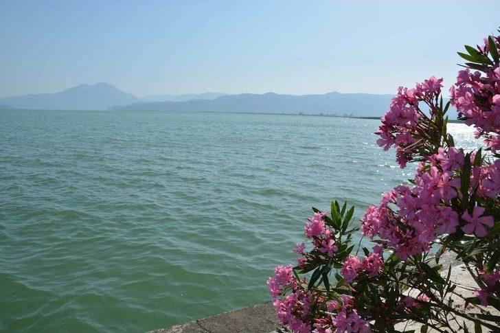 Köyceğiz Gölü Turkuaz Rengiyle Büyülüyor G3