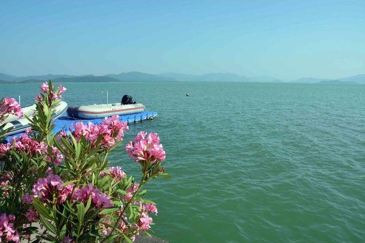 Köyceğiz Gölü Turkuaz Rengiyle Büyülüyor G4