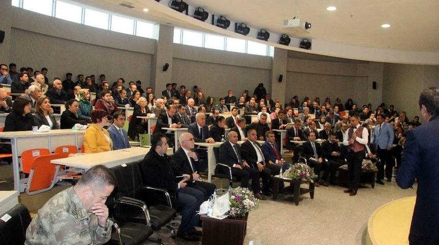 Türkiye Zeytin Üretiminde Dünyada 6’ncı Sırada