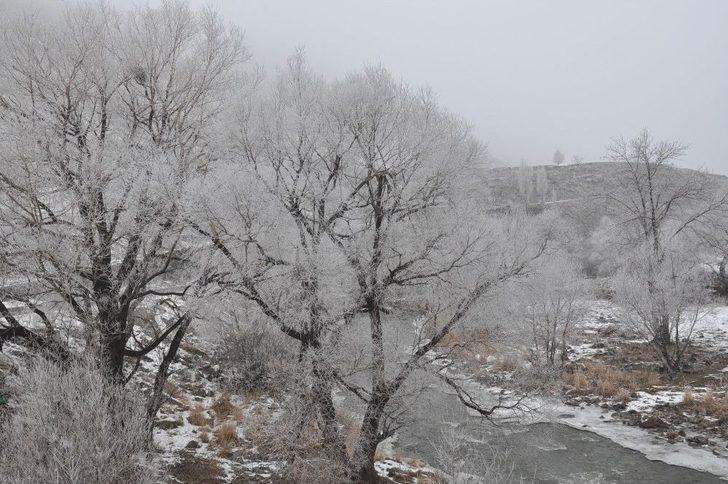 Kars’ta Kırağı, Sis Etkili Oluyor G4