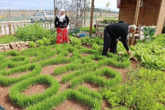 Cumhurbaşkanı Sevgisini Çimlerle Gösterdi 1