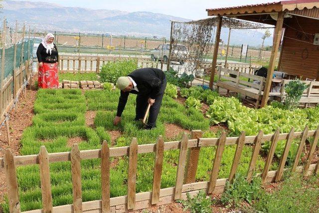 Cumhurbaşkanı Sevgisini Çimlerle Gösterdi 2