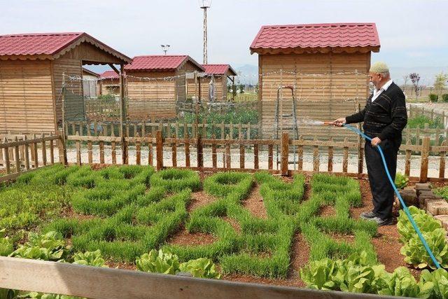 Cumhurbaşkanı Sevgisini Çimlerle Gösterdi 3