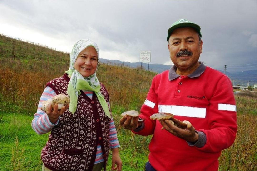 Aydın&rsquo;da Yağışlardan Sonra &Ccedil;ıkan Mantarlar Vatandaşın Y&uuml;z&uuml;n&uuml; G&uuml;ld&uuml;rd&uuml;